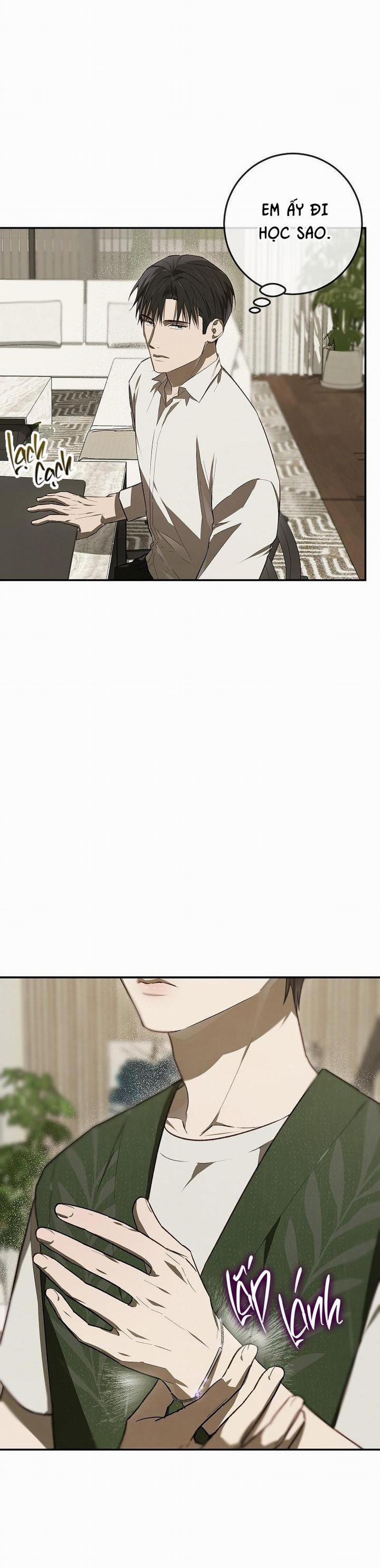 BẢO VẬT 17 trang 15