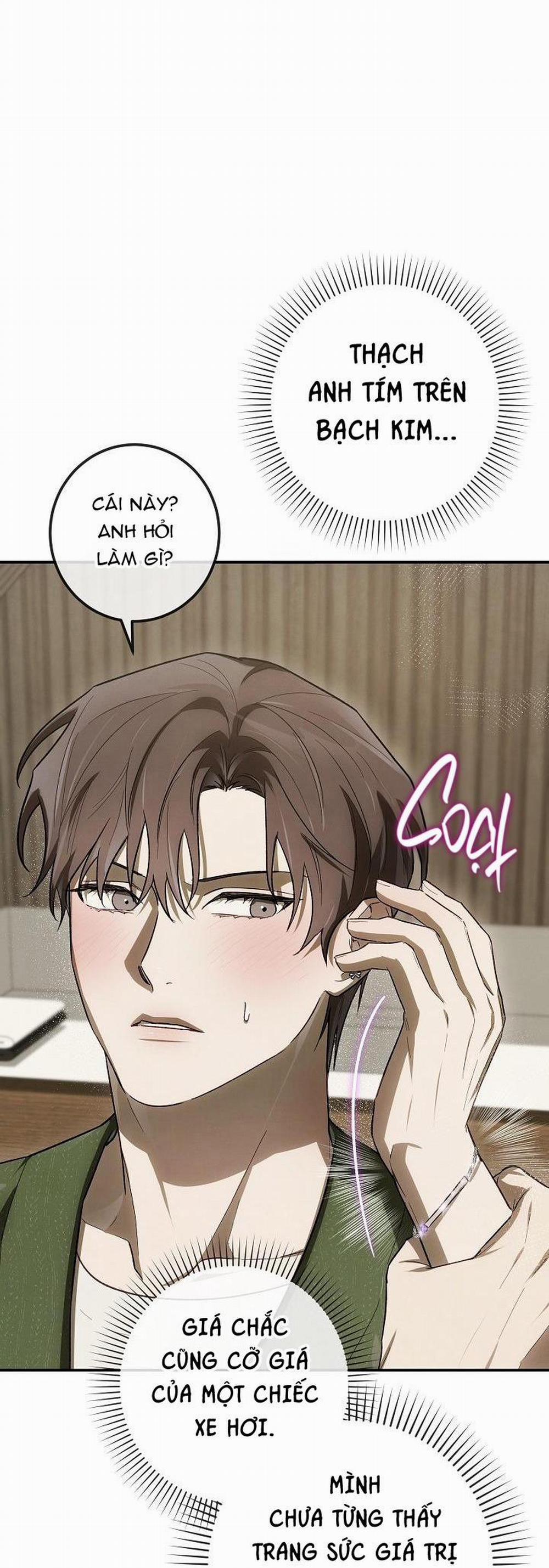 BẢO VẬT 17 trang 20