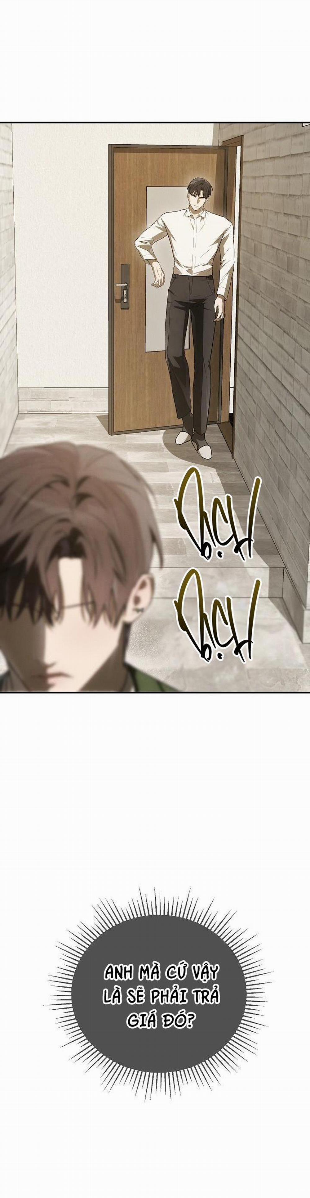 BẢO VẬT 17 trang 33