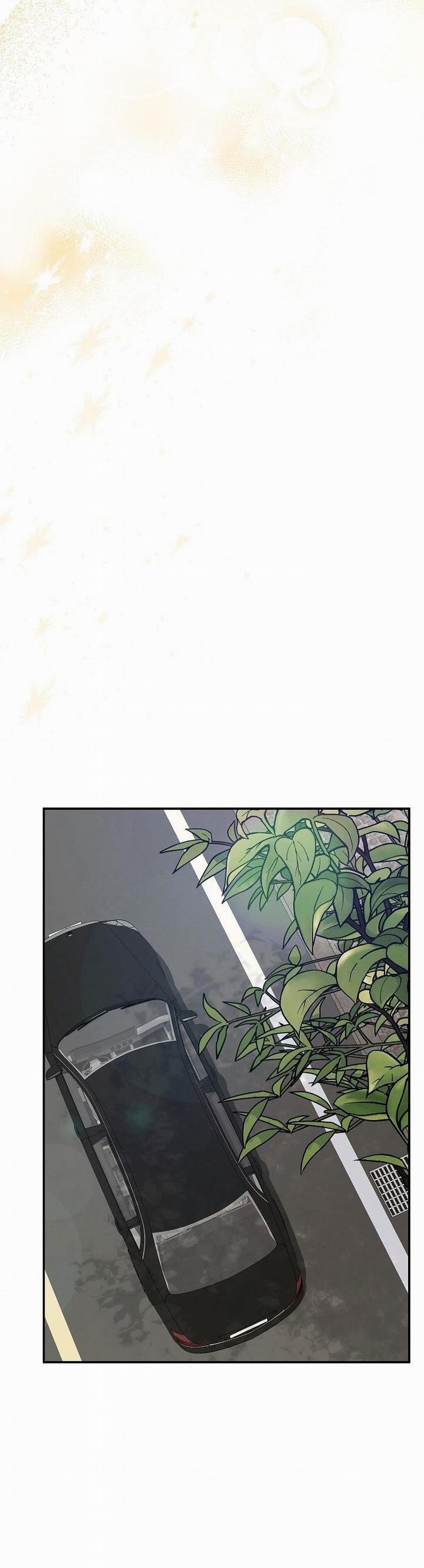 BẢO VẬT 17 trang 36