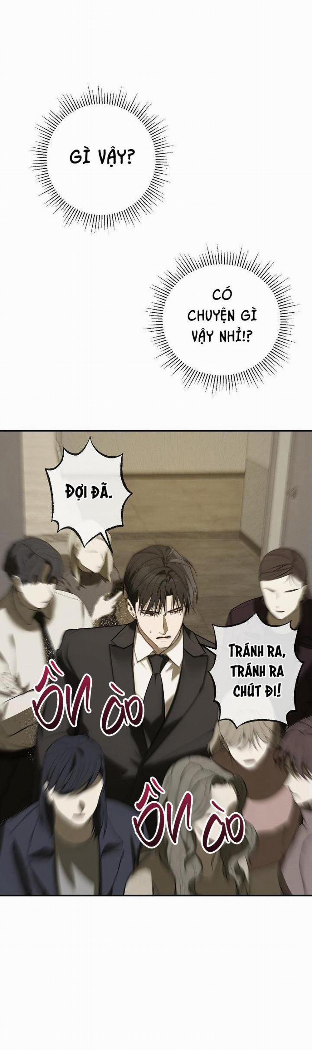 BẢO VẬT 17 trang 42