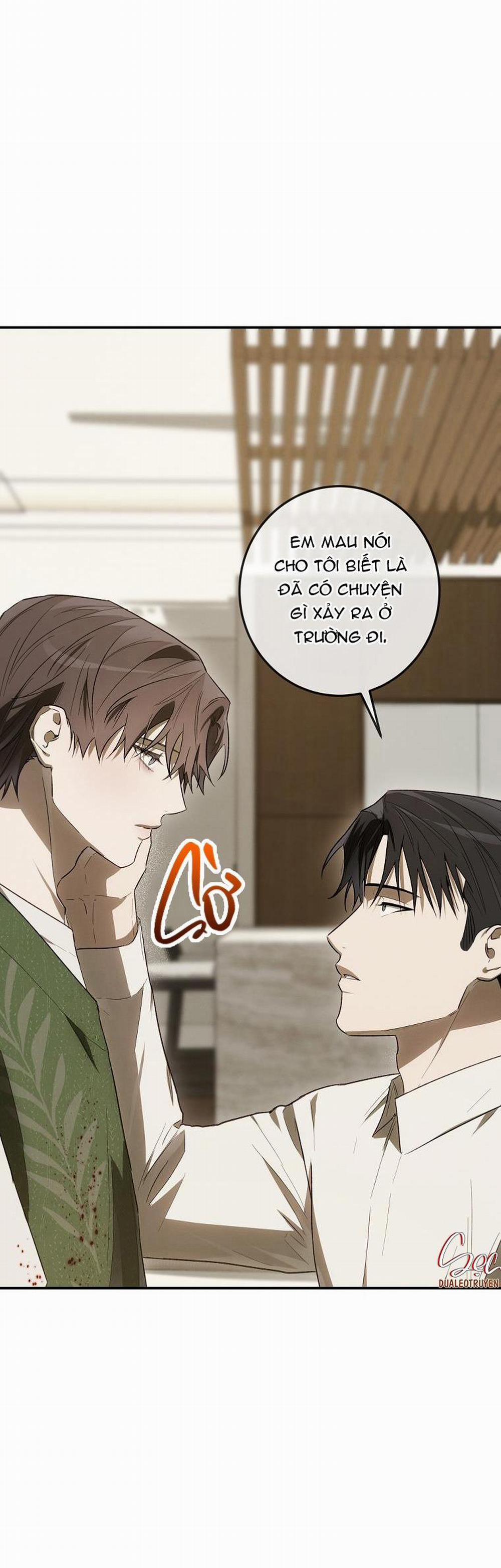 BẢO VẬT 18 trang 22