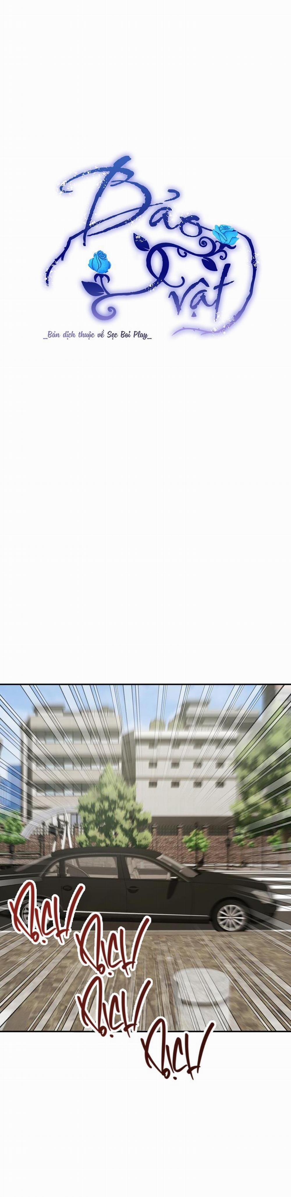 BẢO VẬT 18 trang 8