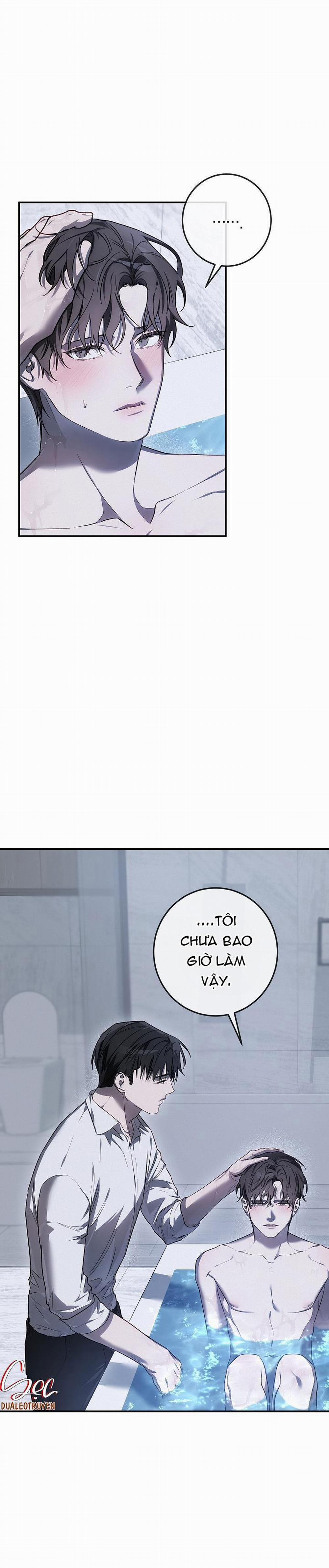 BẢO VẬT 19 trang 0