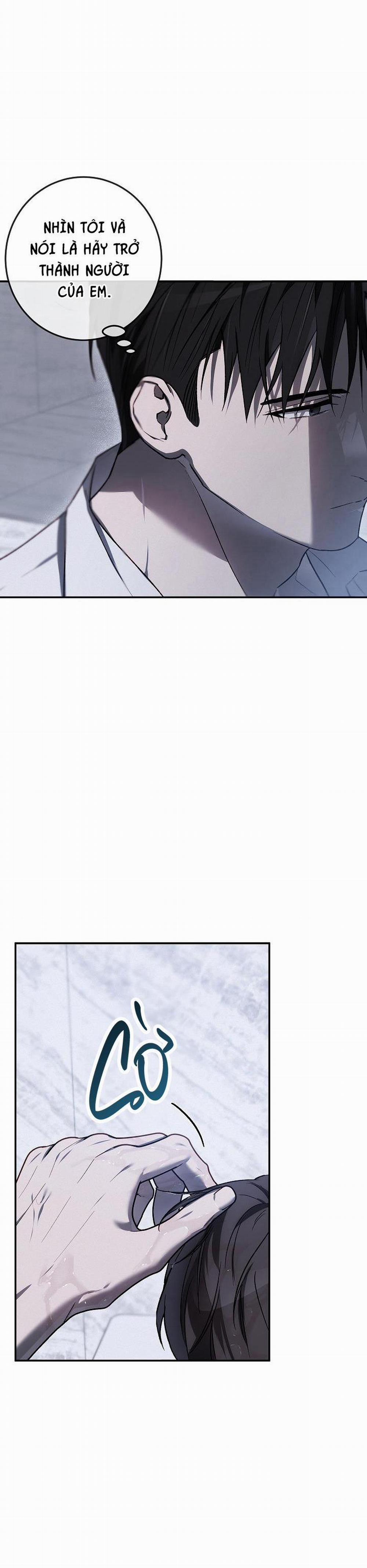 BẢO VẬT 19 trang 1