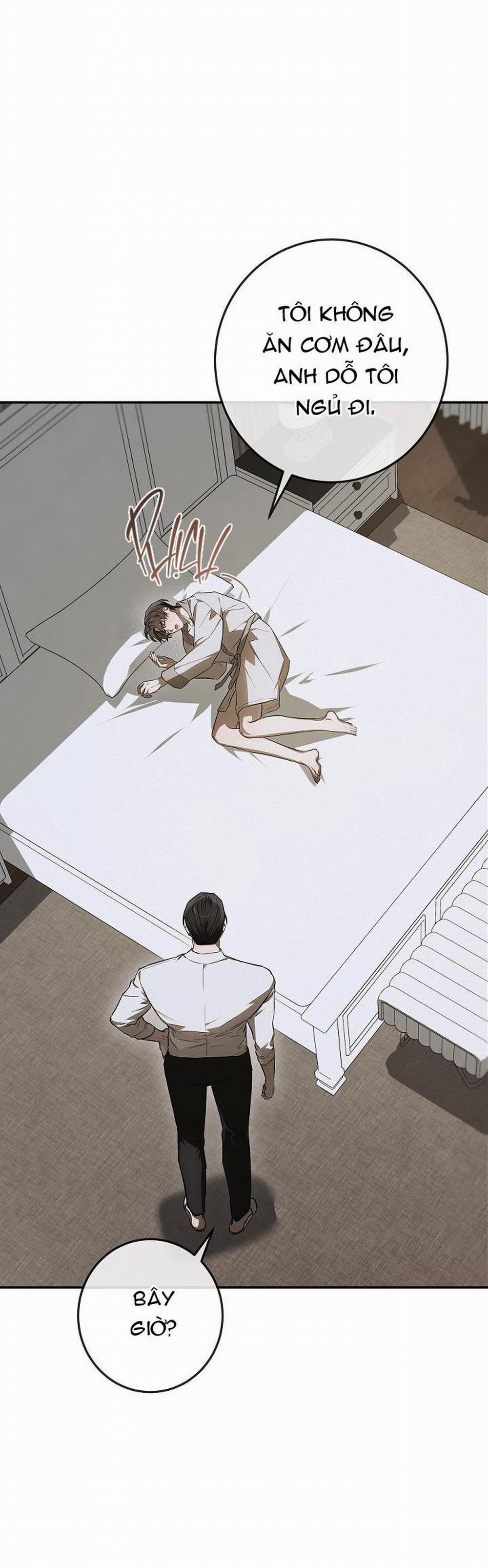 BẢO VẬT 19 trang 11