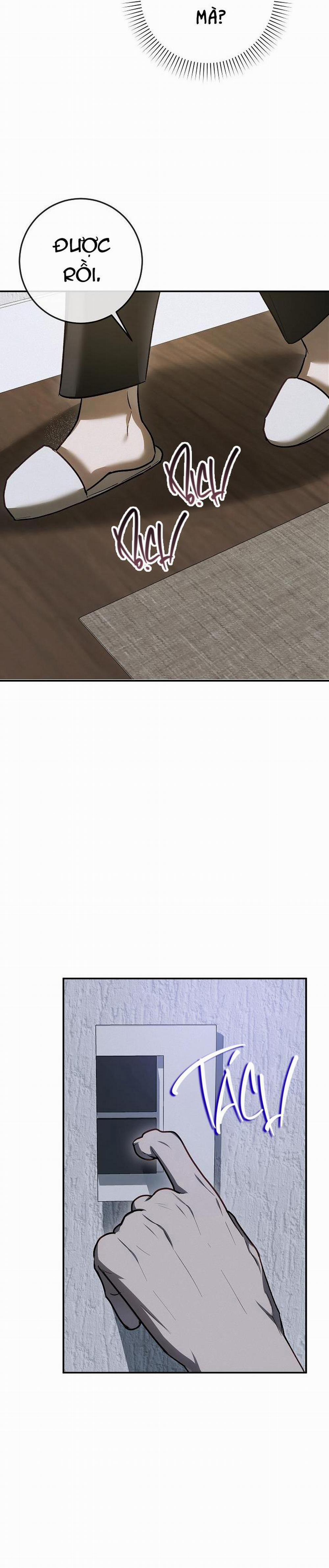 BẢO VẬT 19 trang 13