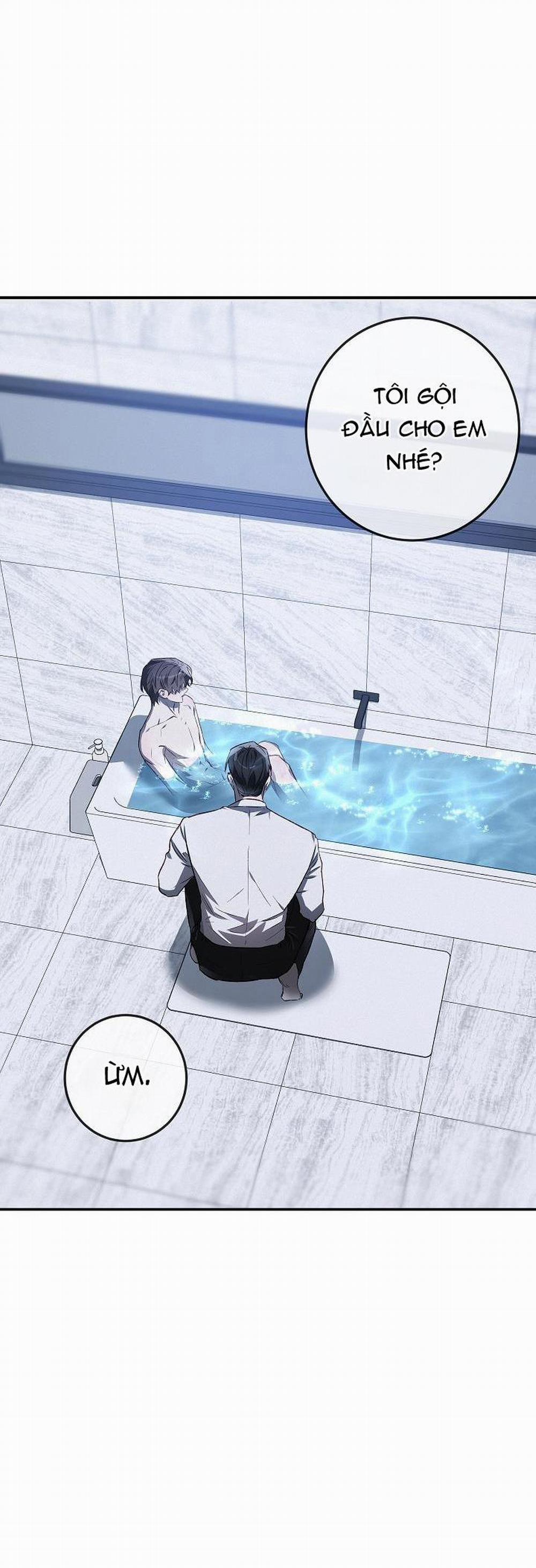 BẢO VẬT 19 trang 2