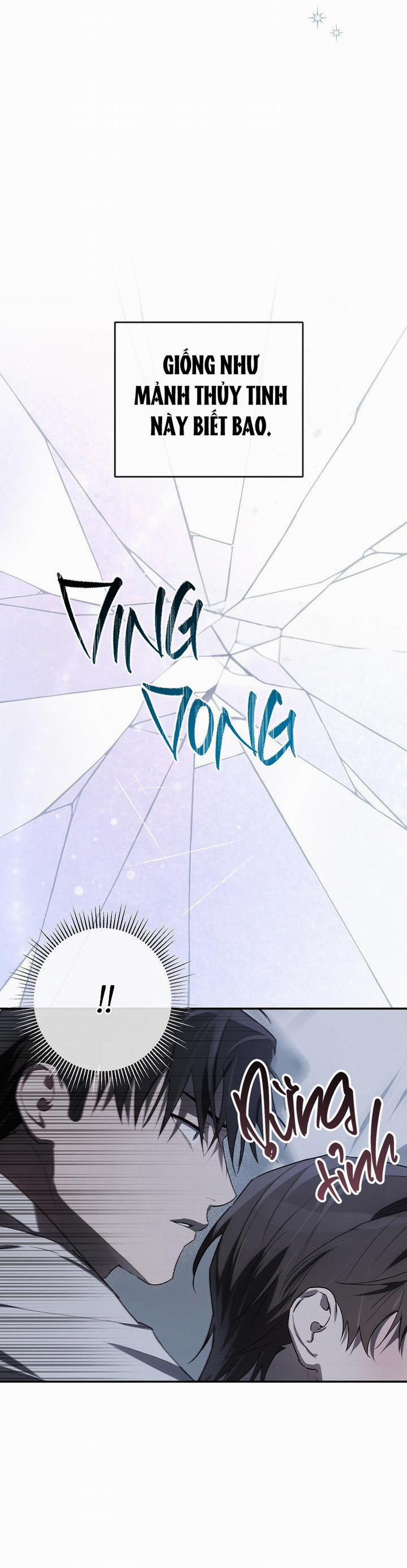 BẢO VẬT 19 trang 25