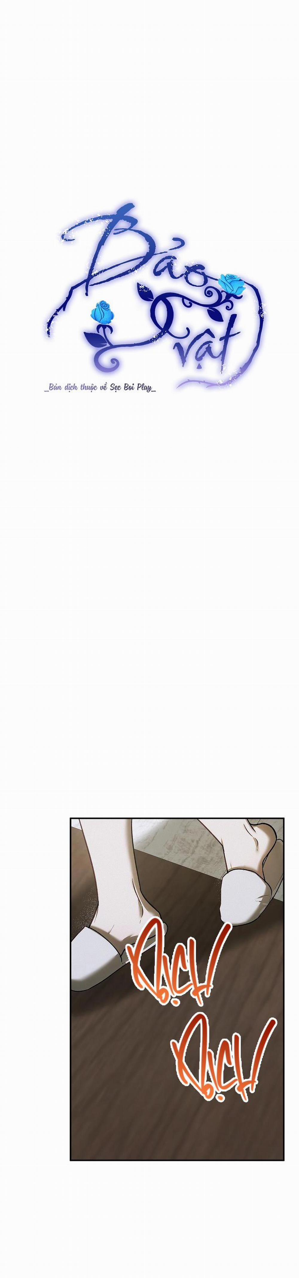 BẢO VẬT 19 trang 3