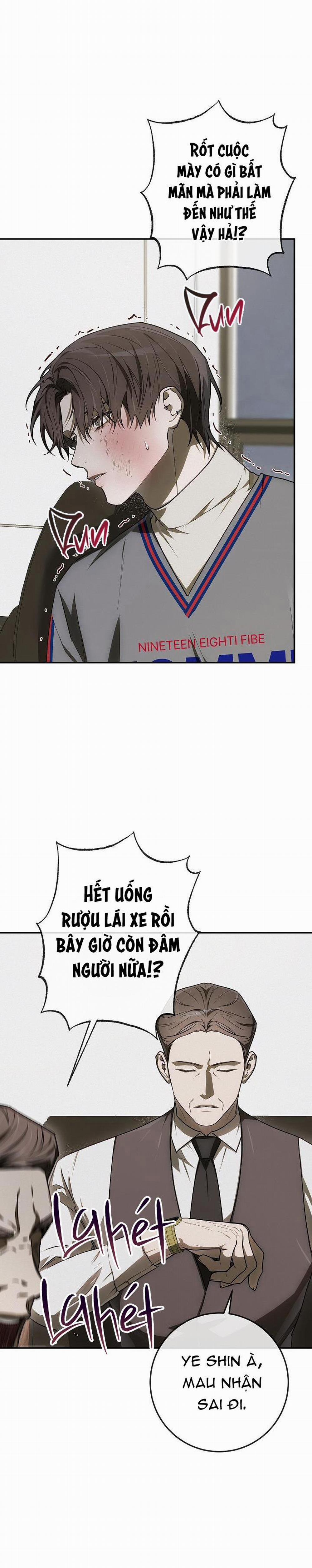 BẢO VẬT 19 trang 33