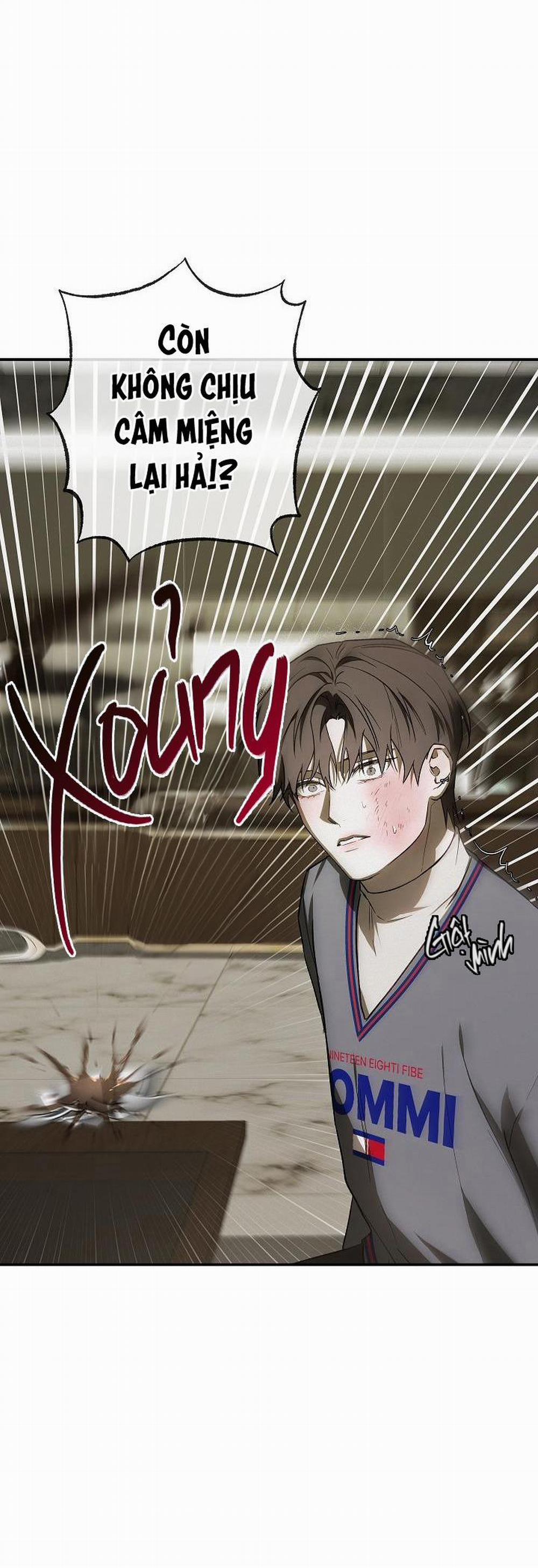 BẢO VẬT 19 trang 37