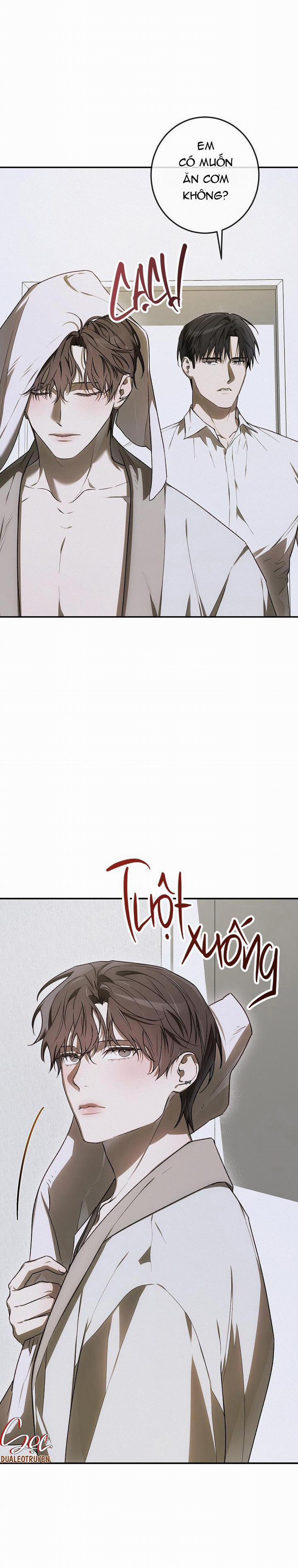 BẢO VẬT 19 trang 4