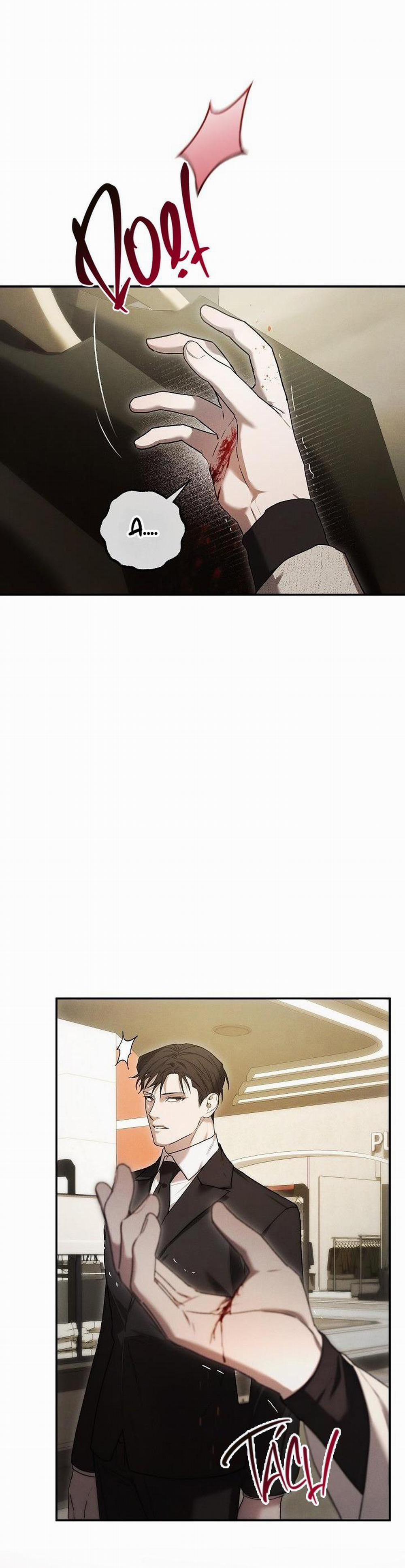 BẢO VẬT 2 trang 15