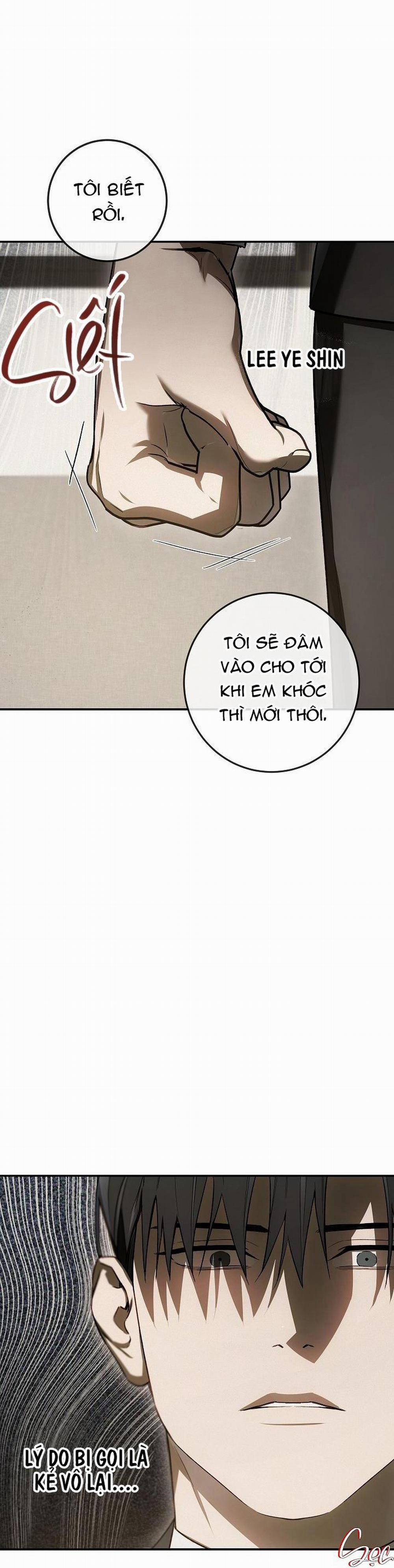 BẢO VẬT 20 trang 41