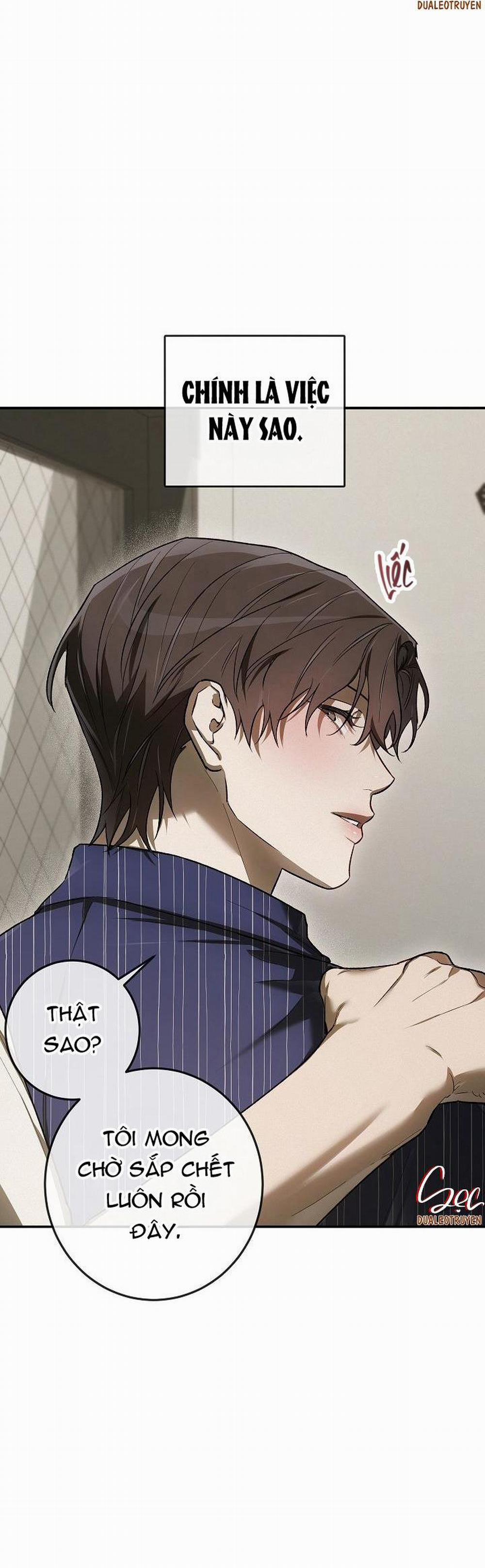 BẢO VẬT 20 trang 42