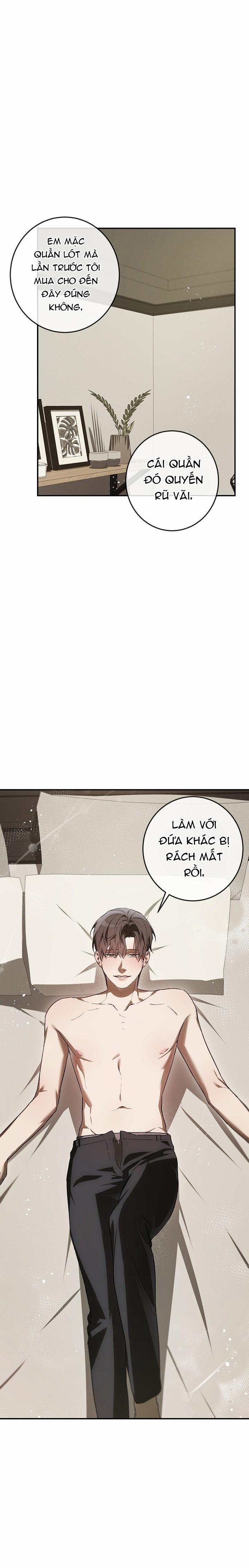 BẢO VẬT 21 trang 0