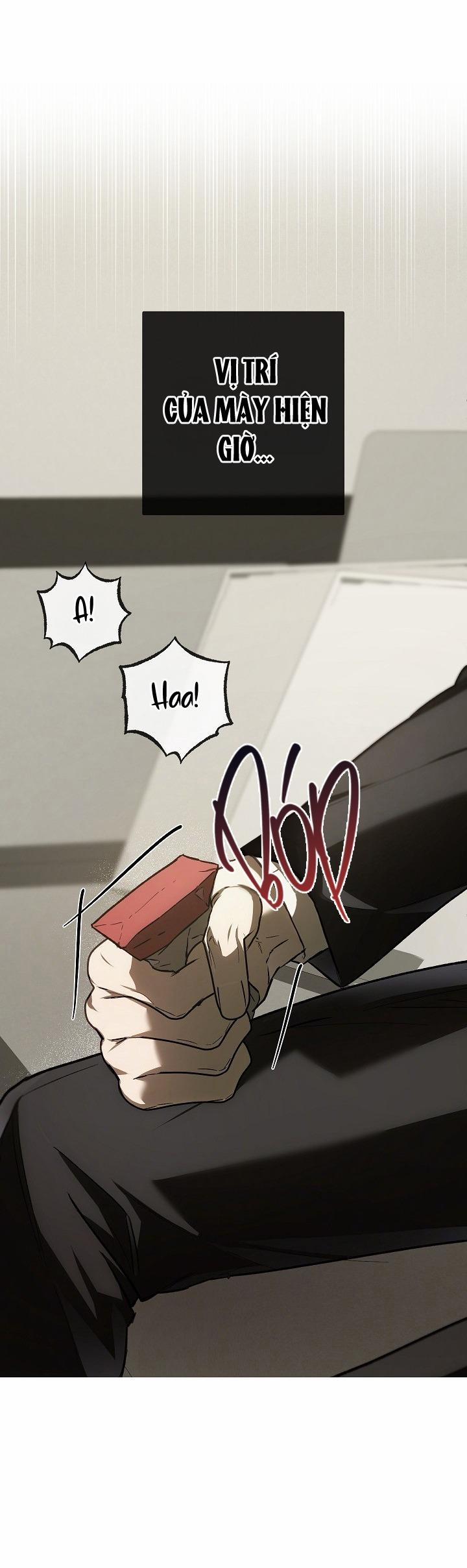 BẢO VẬT 21 trang 13