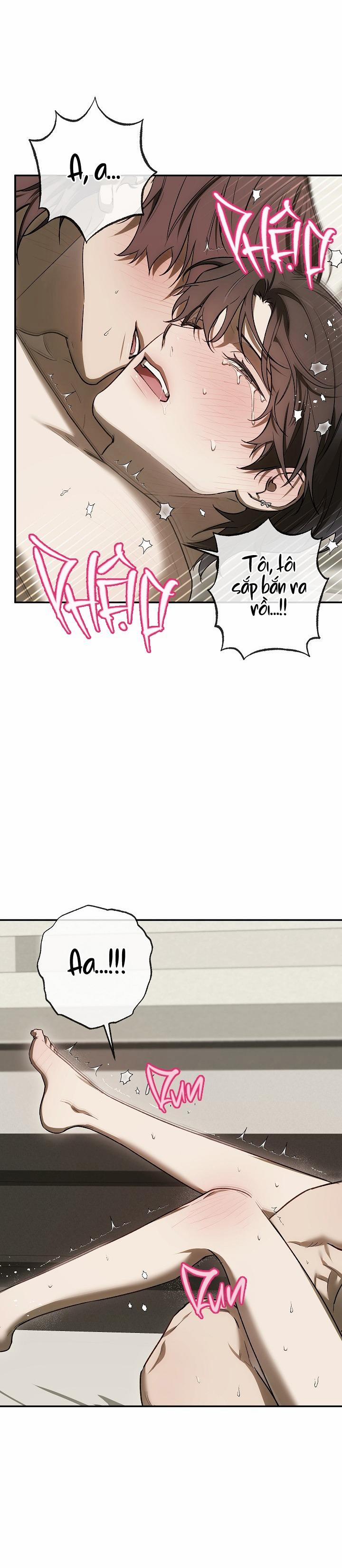 BẢO VẬT 21 trang 17