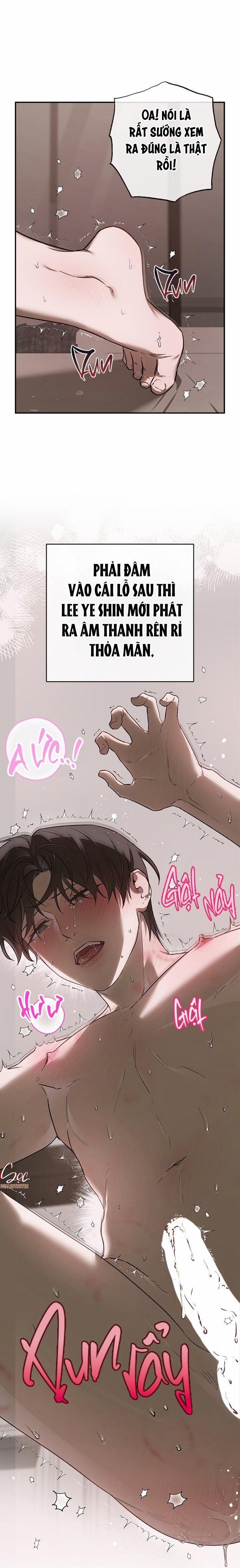 BẢO VẬT 21 trang 26