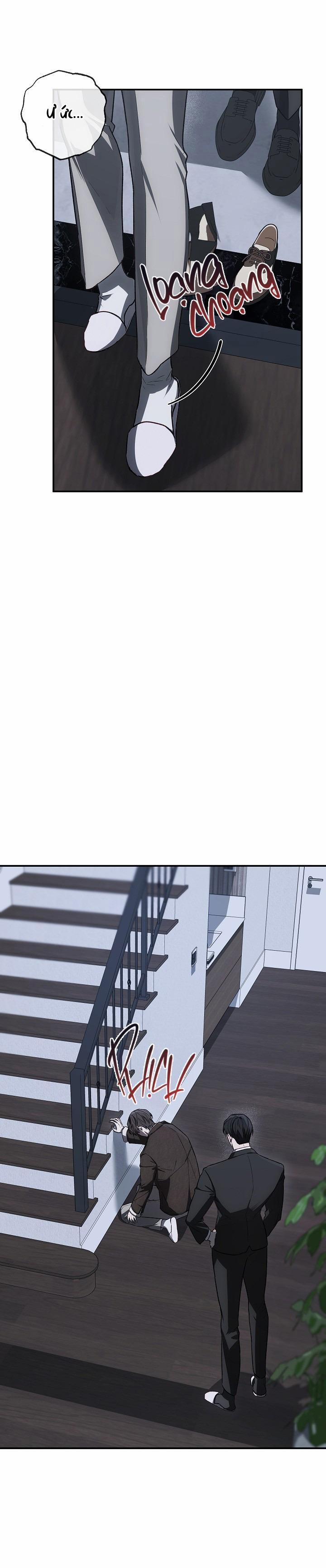 BẢO VẬT 21 trang 28