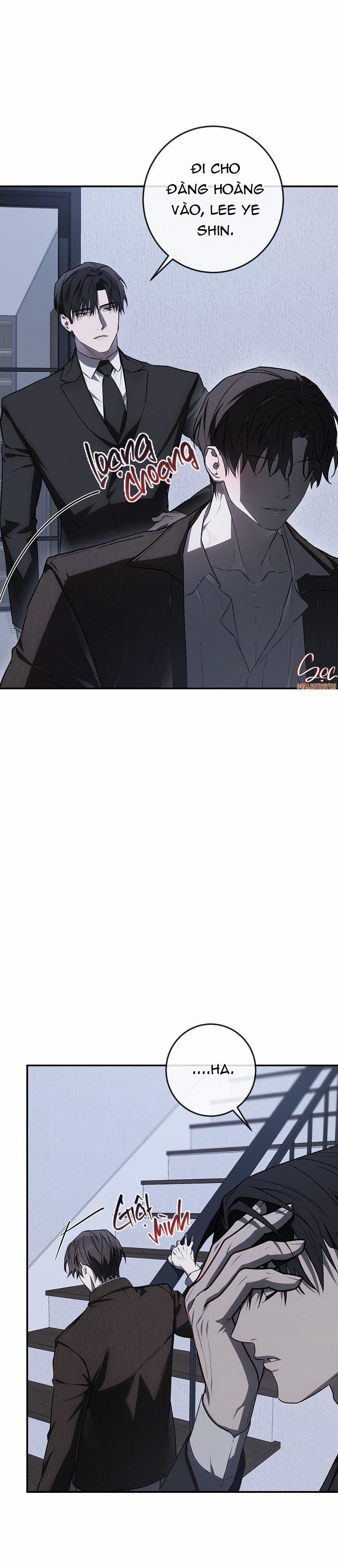 BẢO VẬT 21 trang 29