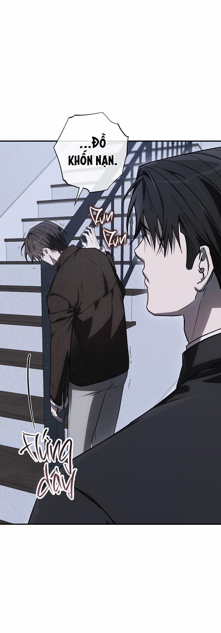 BẢO VẬT 21 trang 34