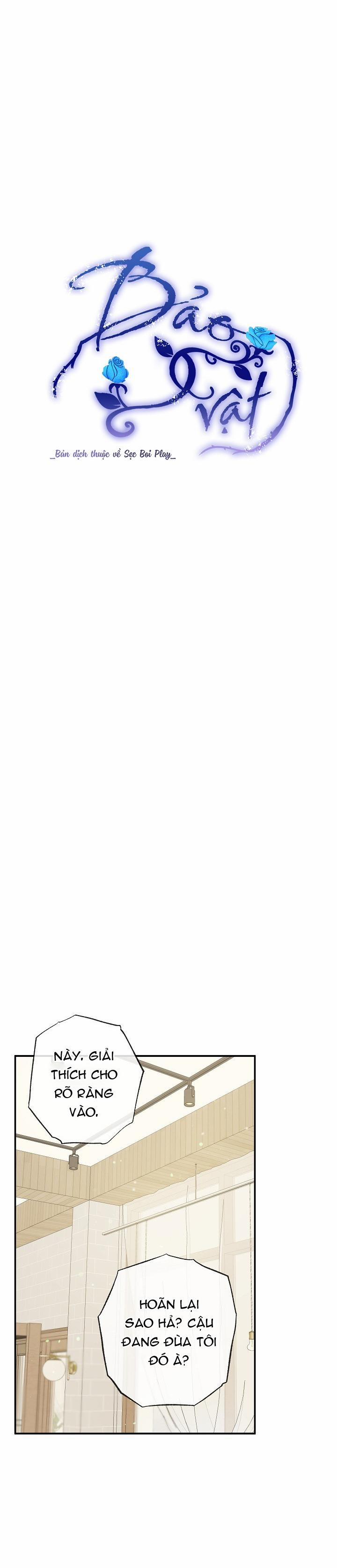 BẢO VẬT 22 trang 1