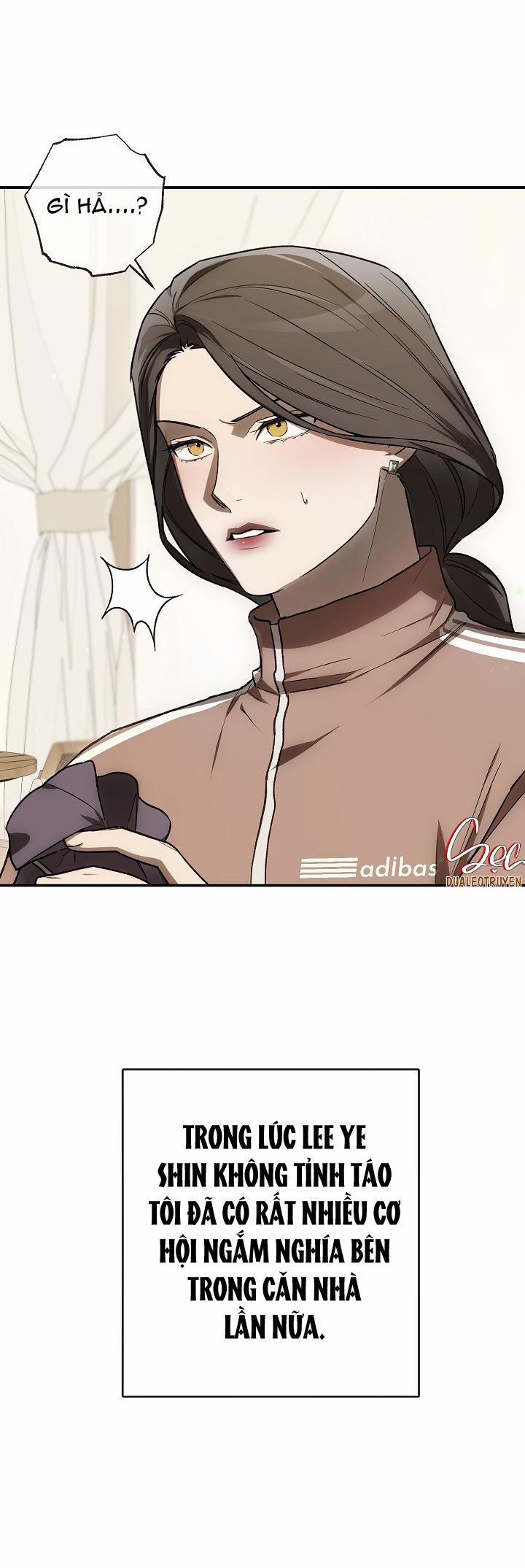 BẢO VẬT 22 trang 12