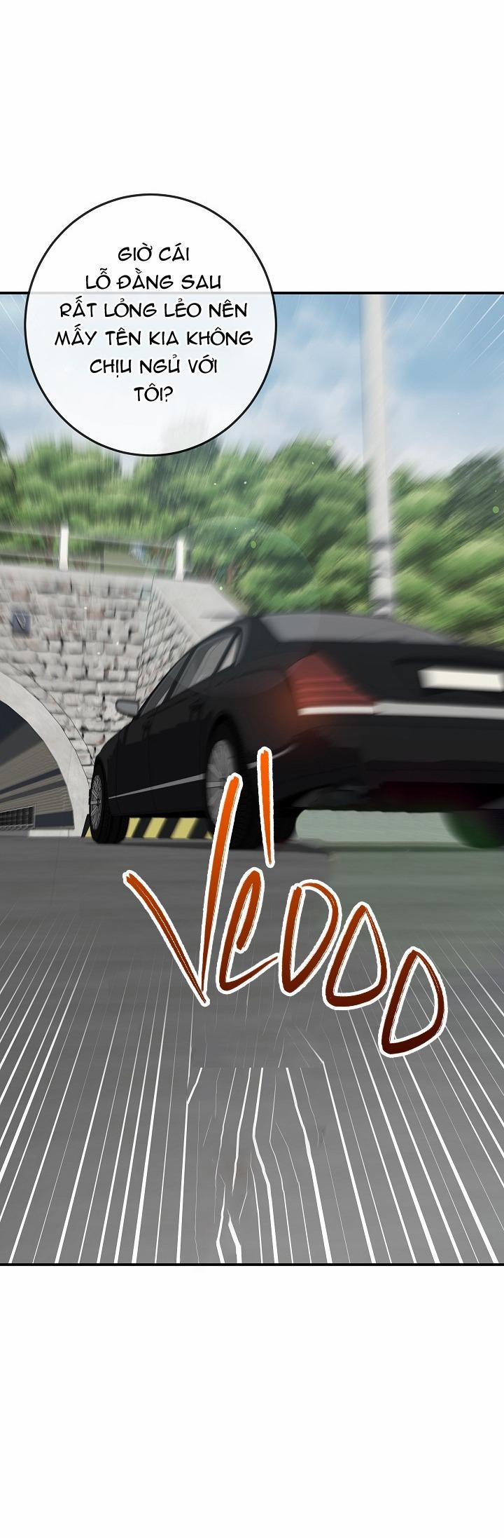 BẢO VẬT 22 trang 27