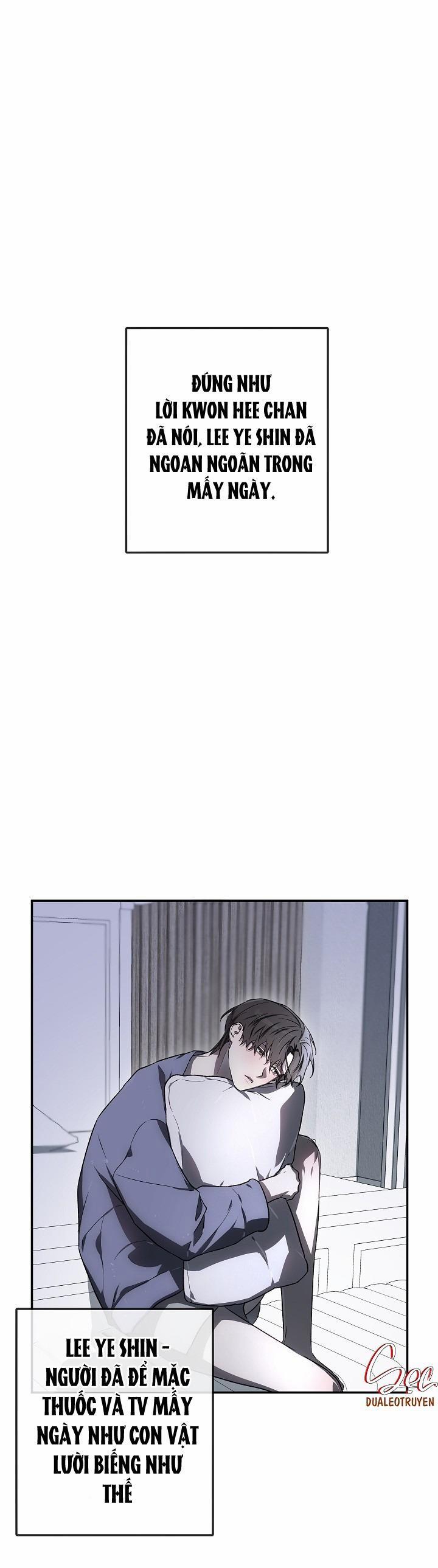 BẢO VẬT 23 trang 0