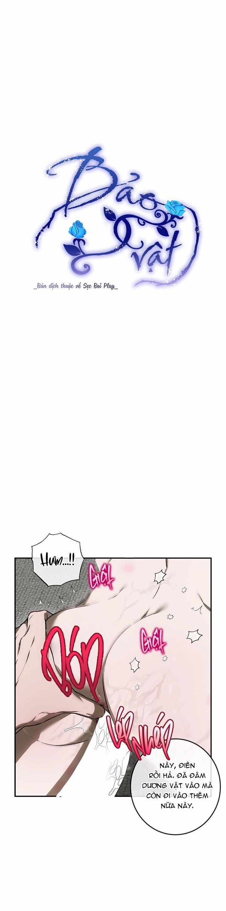 BẢO VẬT 23 trang 2