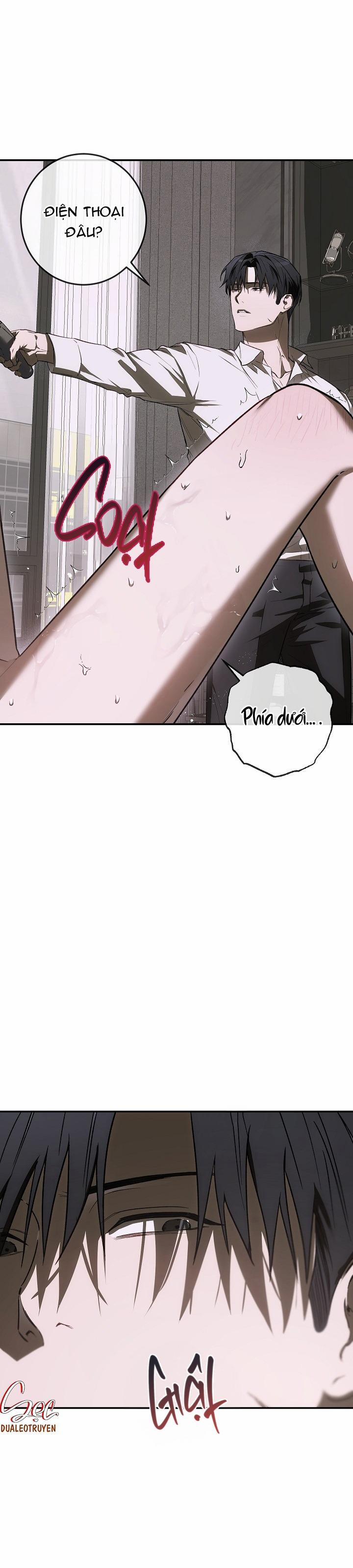 BẢO VẬT 23 trang 21