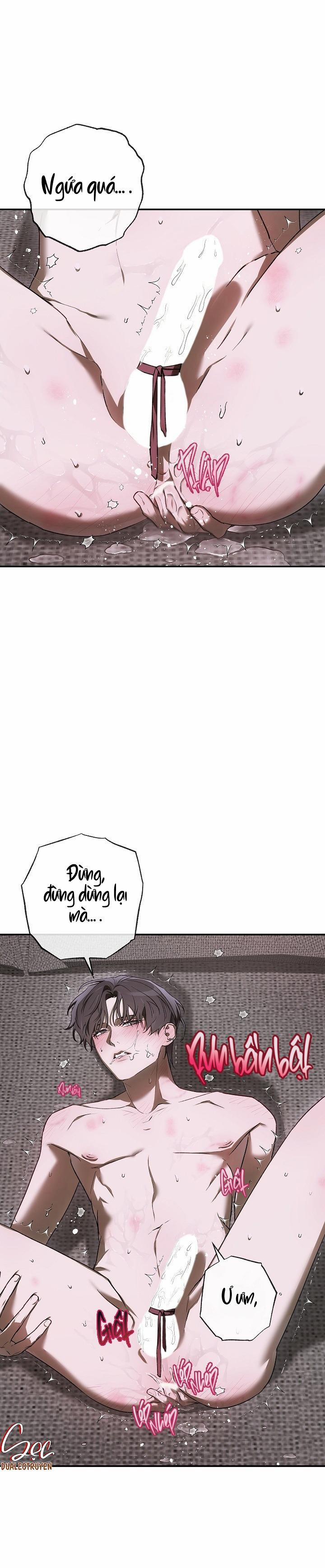 BẢO VẬT 23 trang 22