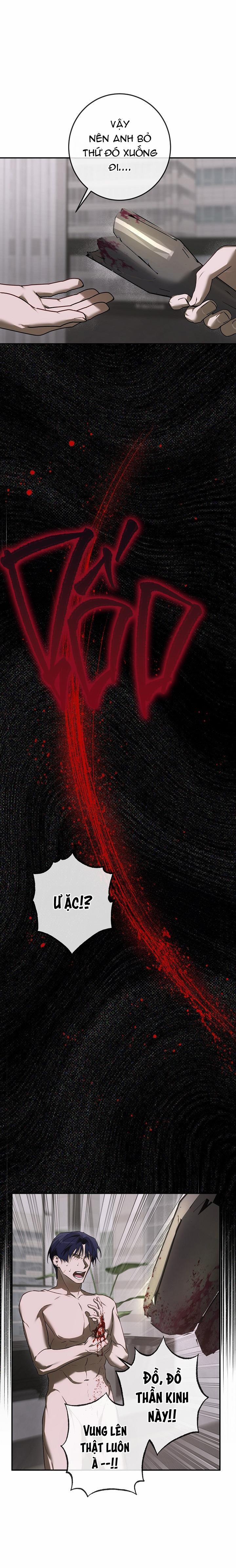 BẢO VẬT 23 trang 25