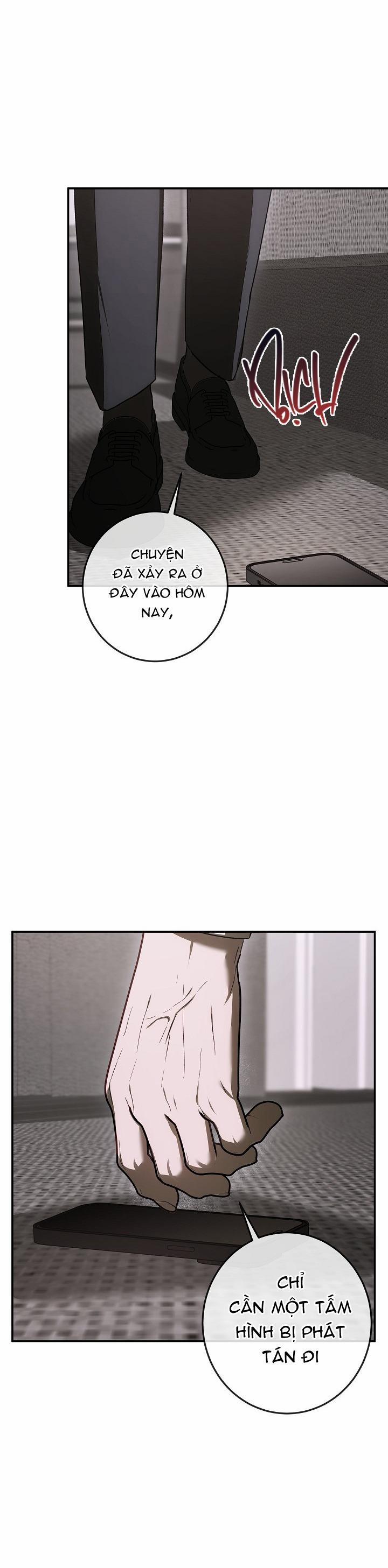 BẢO VẬT 23 trang 28