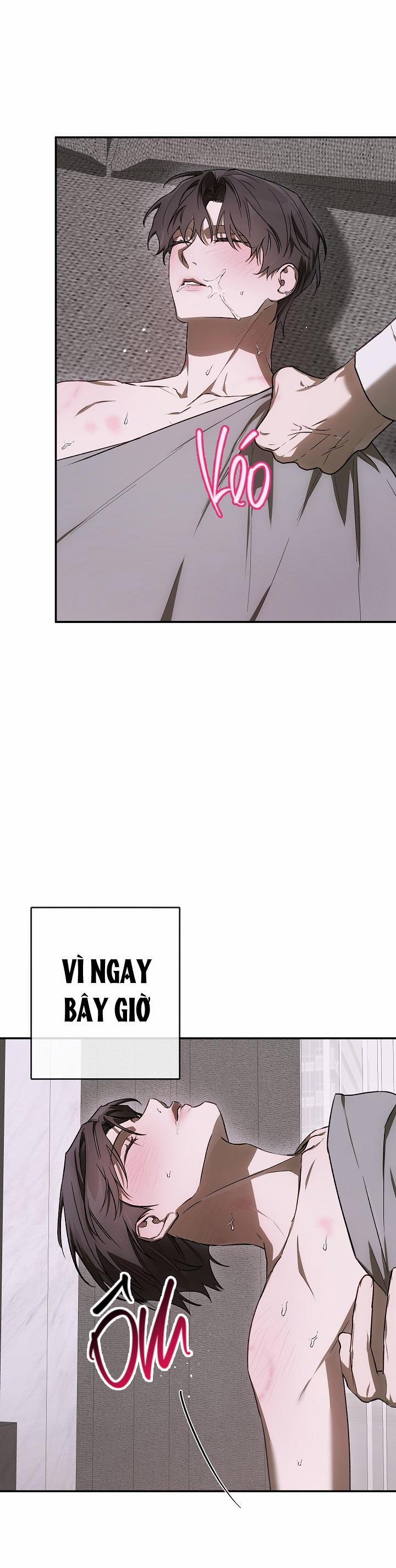 BẢO VẬT 23 trang 30