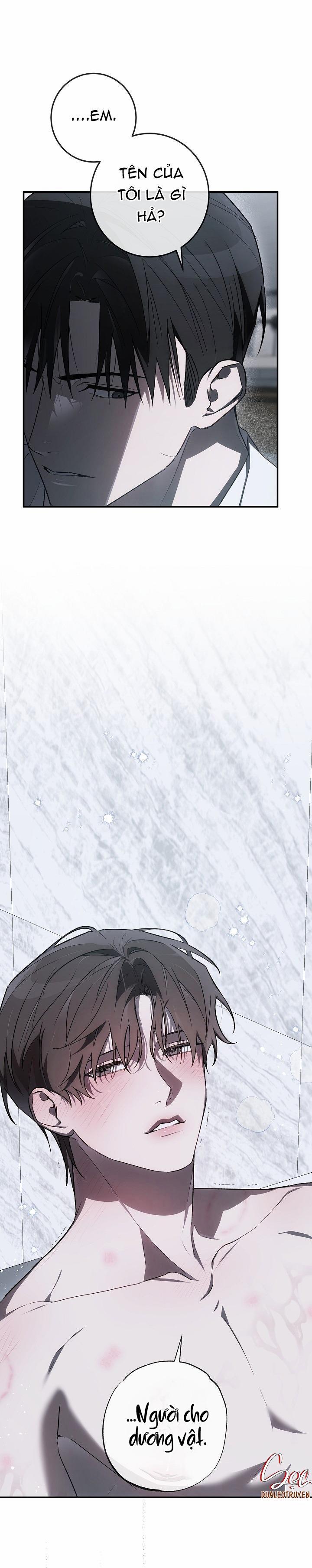 BẢO VẬT 23 trang 40