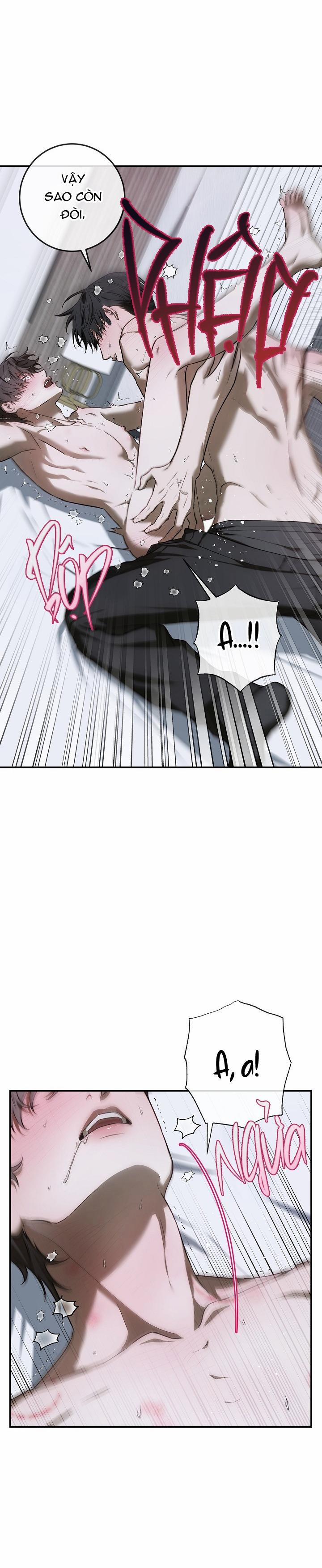 BẢO VẬT 24 trang 10