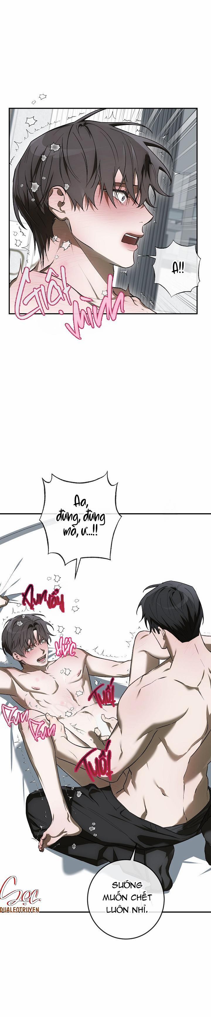 BẢO VẬT 24 trang 17