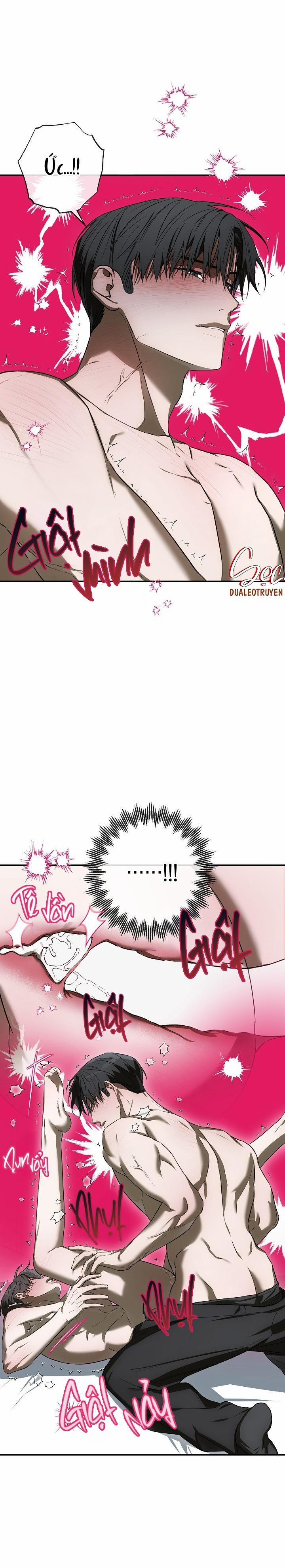 BẢO VẬT 24 trang 19