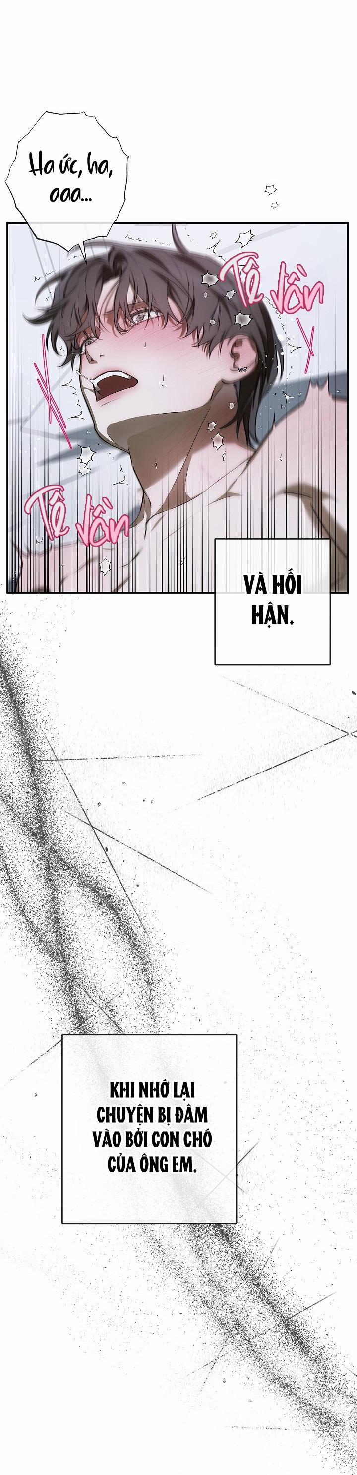 BẢO VẬT 24 trang 7