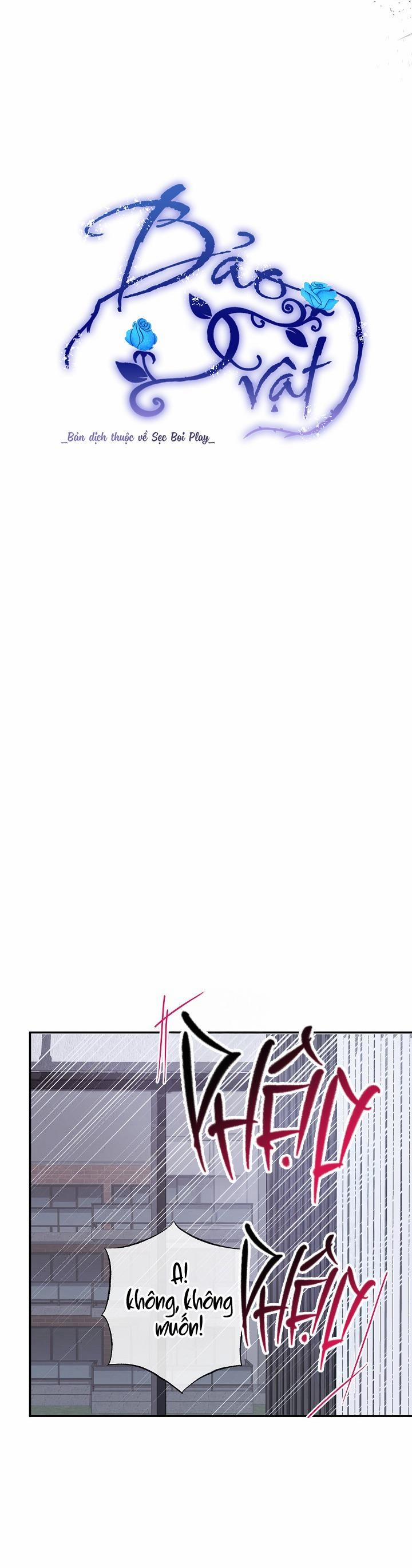 BẢO VẬT 24 trang 8