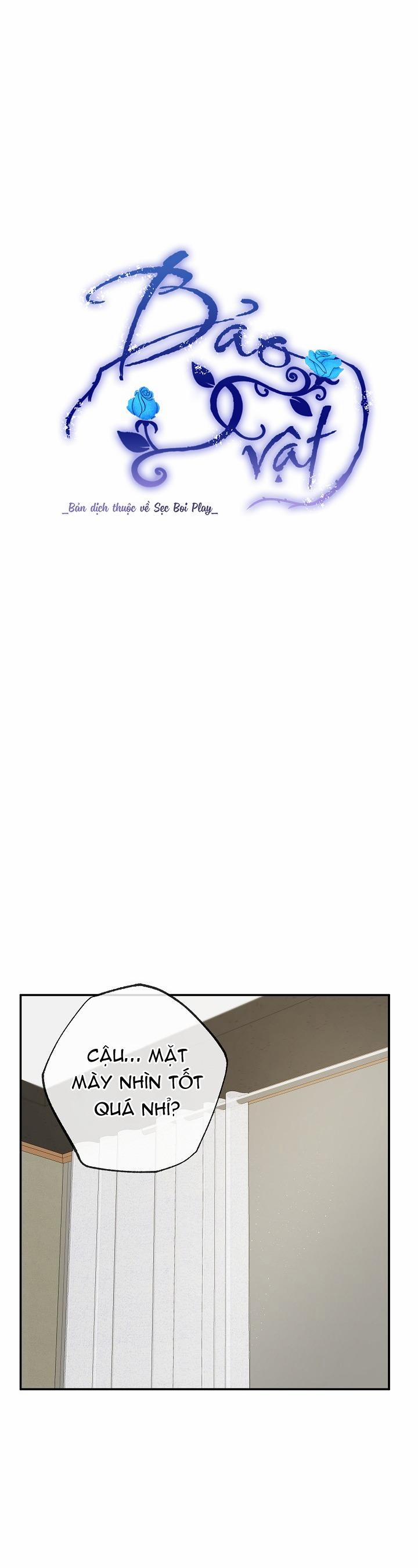 BẢO VẬT 25 trang 11