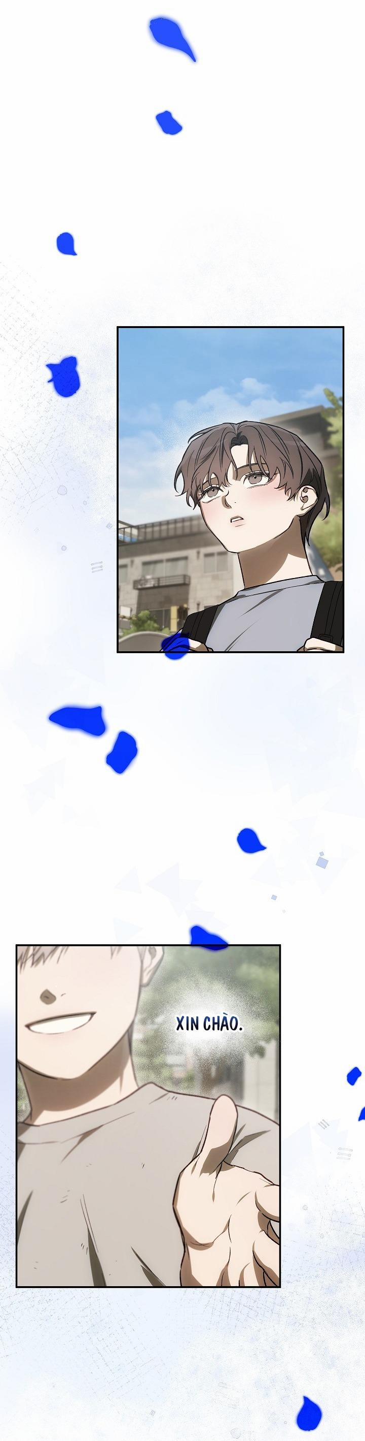 BẢO VẬT 25 trang 41