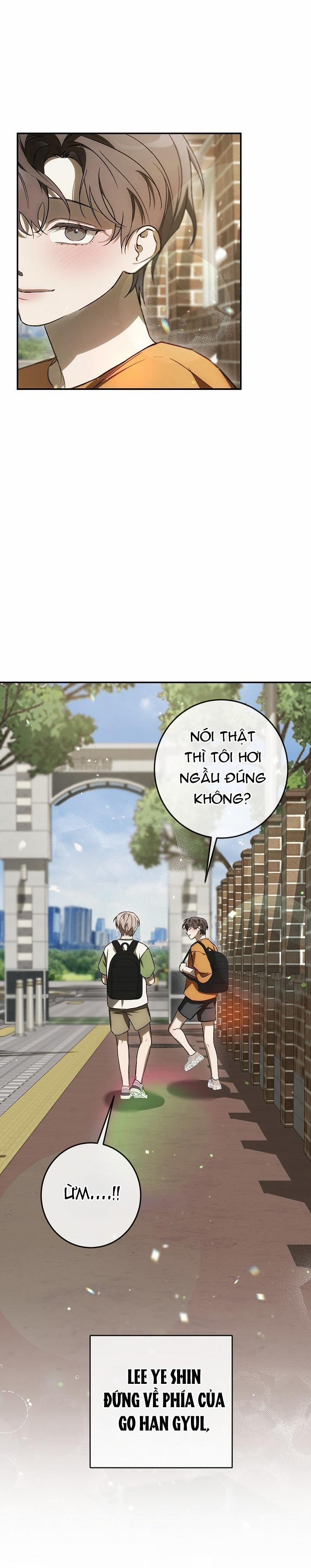 BẢO VẬT 26 trang 13