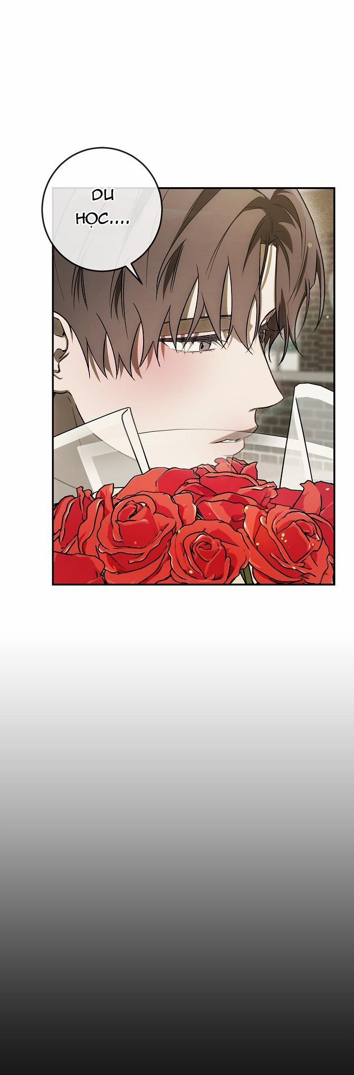 BẢO VẬT 26 trang 30