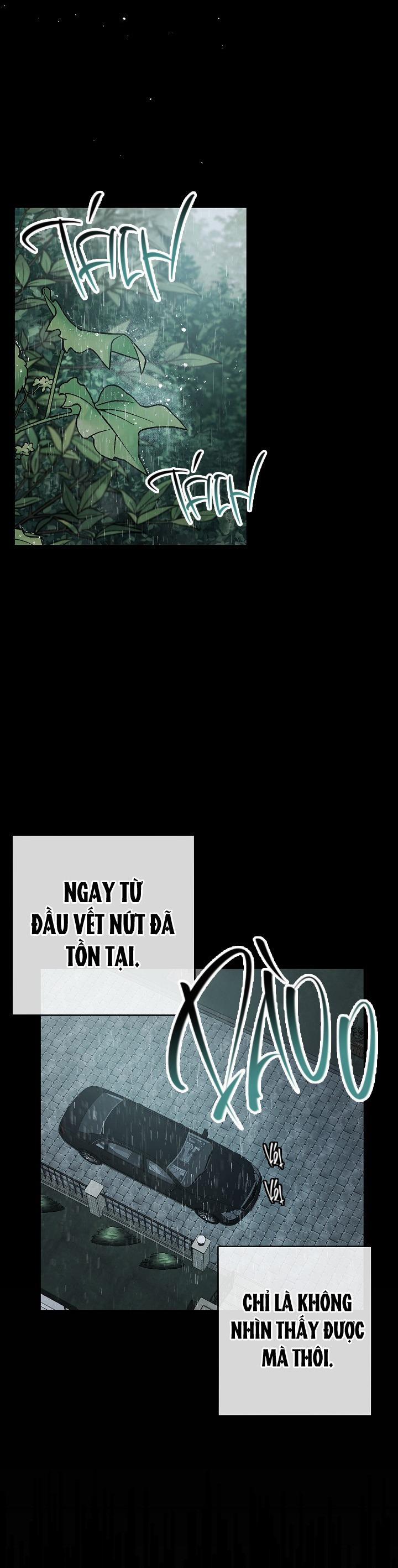 BẢO VẬT 26 trang 36