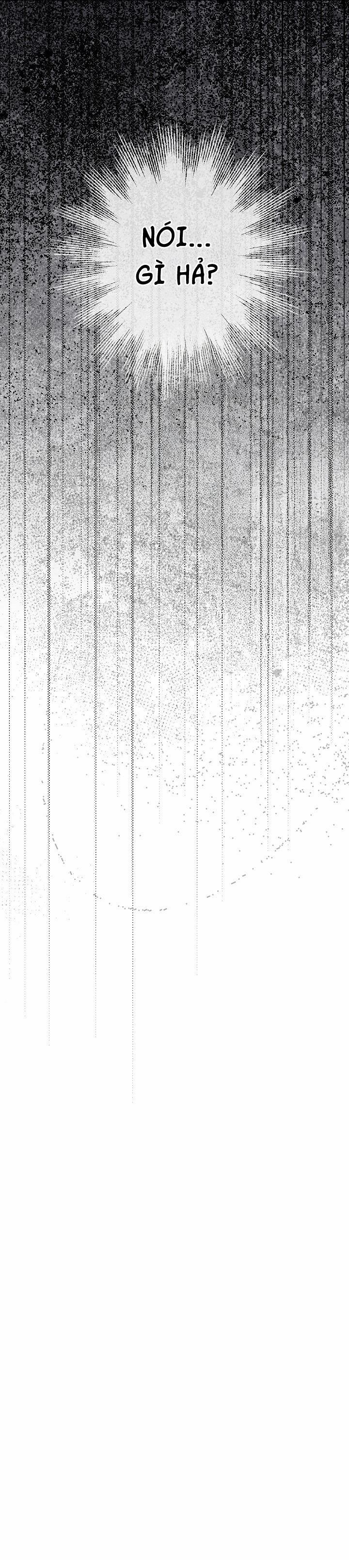 BẢO VẬT 26 trang 39