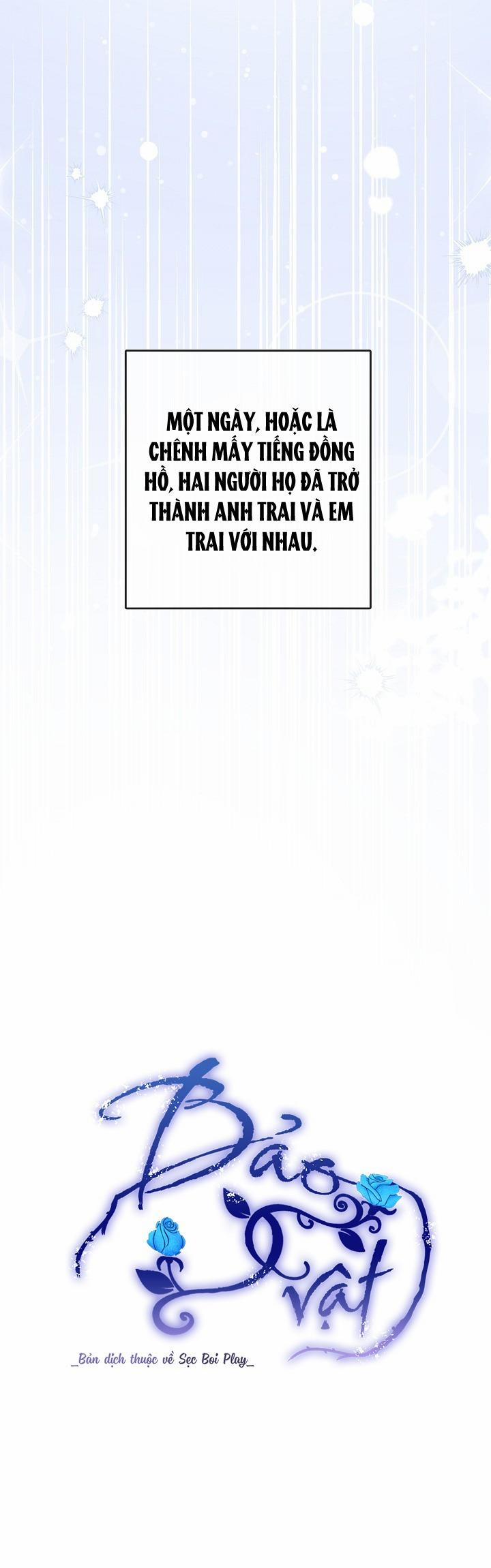 BẢO VẬT 26 trang 5